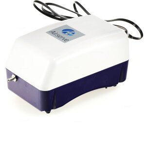 ySzGAT[u GA[|v ST-6000 (4Ǖt) Y (Vi)