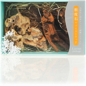 【全国送料無料】ソネケミファ レイアウトパッケージ 松皮石+ツイストウッド (新商品)