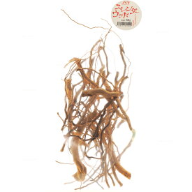 【全国送料無料】JUN スレンダーウッド 60g 天然流木 (新商品)