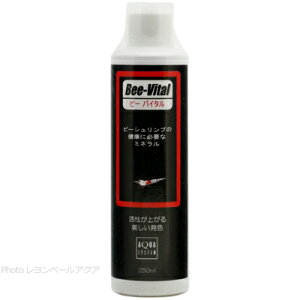 ySzANAVXe RfBVi[ r[oC^ 250ml