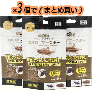 �y�S�����������zGEX �G�L�]�e�� ���b�v�f�� �R�I���M�u�[�X�^�[ 45g ×3�� (�܂Ƃߔ���)(�V���i)