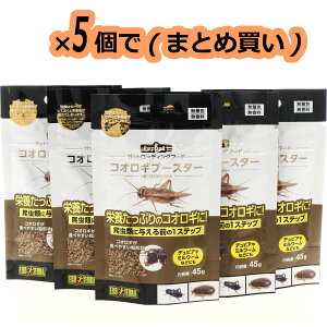 �y�S�����������zGEX �G�L�]�e�� ���b�v�f�� �R�I���M�u�[�X�^�[ 45g ×5�� (�܂Ƃߔ���)(�V���i)