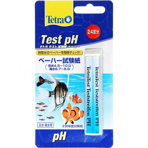 ySzeg eXg y[n[ PH 24(VpbP[W)