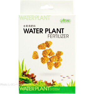 ySzCtz[fBOX ph{ EH[^[vc tFeBCU[ 12