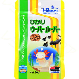 ySzL[ Ђ E[p[[p[ 30g ()