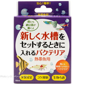 ySzhbOC[ VZbgƂɓoNeA Mыp 150ml()