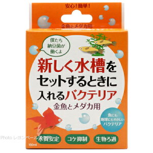 ySzhbOC[ VZbgƂɓoNeA ƃ_Jp 150ml(IW)