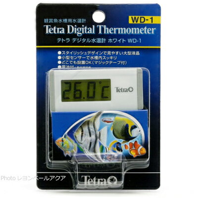 テトラ デジタル水温計 ホワイト WD1 (新ロット新パッケージ)75098