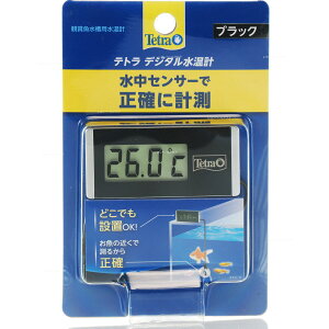 ySzeg fW^v ubN BD1 (VbgVpbP[W)