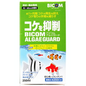 ySzoCR RP} AWK[h 250ml