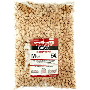 ySzp[nEX x[VbN 5bg MTCY \tg^Cv (ԑ)