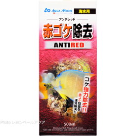 【全国送料無料】カミハタ アンチレッド赤 500ml