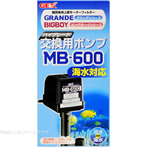 ySzGEX |v MB600 rbO{[CEOfJX^