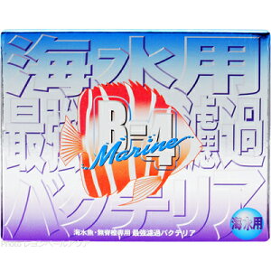 ySzpsGC oNeA B4} 18g (pbP[WVo[)