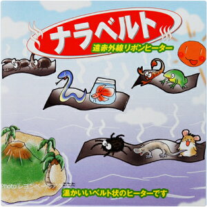 ySz݂ǂ菤 ixg 7cm×85cm