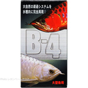 ySzpsGC oNeA B4 ^p12g