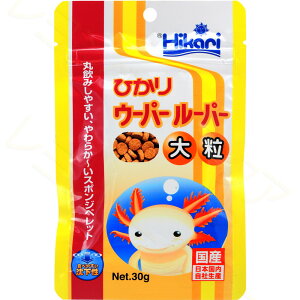 ySzL[ Ђ E[p[[p[嗱 30g () (܂ƂߗL)