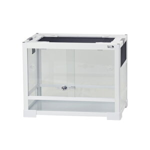 ySzREPTI WILD peI zCg WH4535