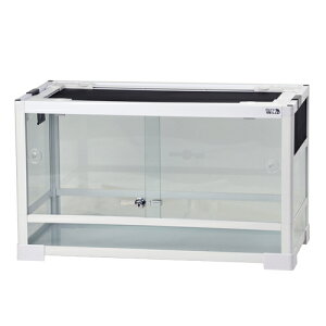 ySzREPTI WILD peI zCg WH6035