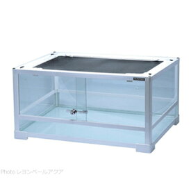 【全国送料無料】REPTI WILD パンテオン ホワイト WH6030