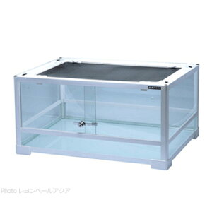 ySzREPTI WILD peI zCg WH6030