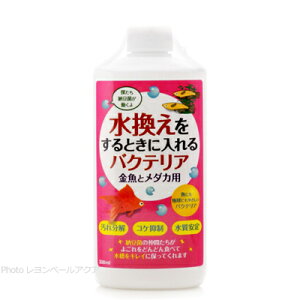 ySzhbOC[ ƂɓoNeA E_Jp 300ml({g)