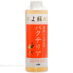 ySzANVY E_J̃oNeA 250ml