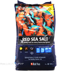 ySzbhV[ lHC bhV[\g 4Kg 