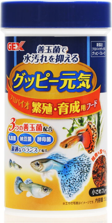楽天市場】【全国送料無料】GEX グッピー元気 繁殖・育成用フード 52g 