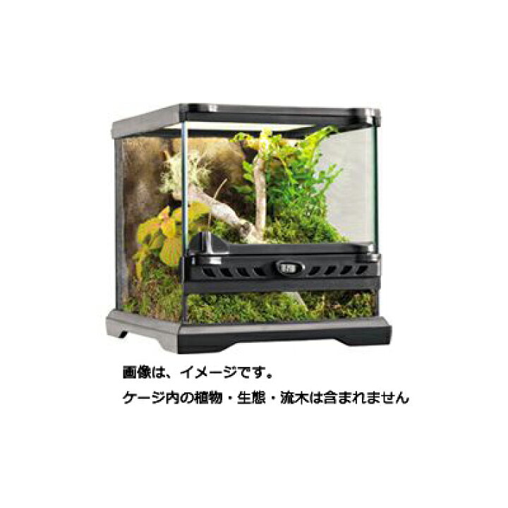 楽天市場 全国送料無料 在庫有り Gex グラステラリウム ナノキューブ Pt2599 レヨンベールアクア楽天市場店
