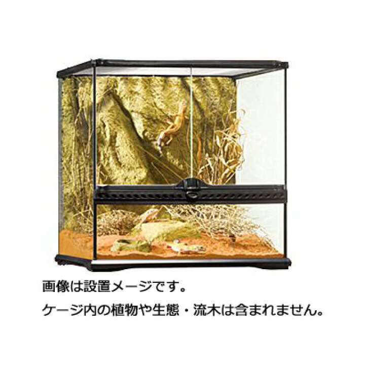 楽天市場】【全国送料無料】GEX エキゾテラ グラステラリウム 4545 