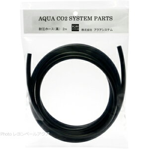 ySzANAVXe 6mmψ`[u2m()