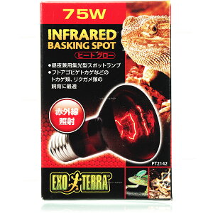 ySzGEX GL]e q[gO[ 75W ԊOMX|bgv