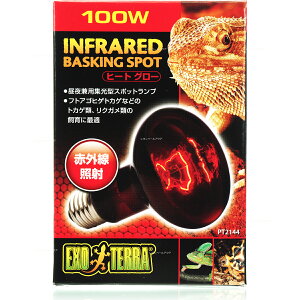 ySzGEX GL]e q[gO[ 100W ԊOMX|bgv