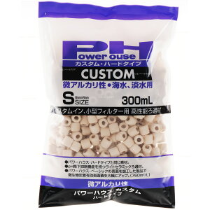 ySzp[nEX JX^ n[h^Cv() STCY 300ml AJ CEWp