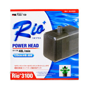 ySzJ~n^ p[wbh|v IvX Rio+3100 50Hz {dl