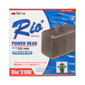 ySzJ~n^ p[wbh|v IvX Rio+3100 60Hz {dl