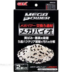 ySzGEX Kp[ߍ KoCI 250g 2ܓ (܂ƂߗL)