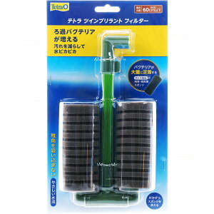 ySzeg cCugtB^[ X|WtB^[