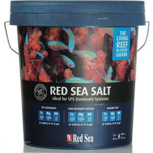 ySzbhV[ lHC bhV[\g 22Kg oPc