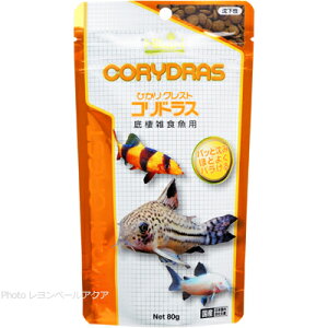 yS360~zL[ ЂNXg RhX 80g (܂ƂߗL)