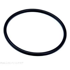 ySz[XC UVoY[Jp ΉpOO 1 a65mm