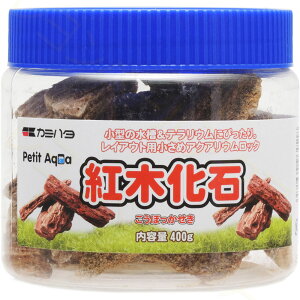 ySzJ~n^ v`ANA̐ g؉ 400g