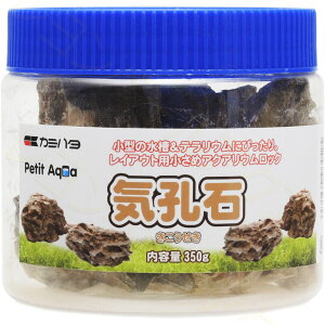 ySzJ~n^ v`ANA̐ CE 350g
