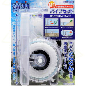 yS590~zRguL ^납h[MF pCvZbg