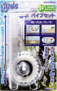 RguL ^납h[SF pCvZbg