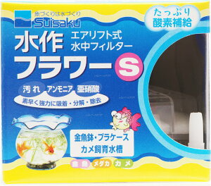 yS590~z t[S (VbgVpbP[W)