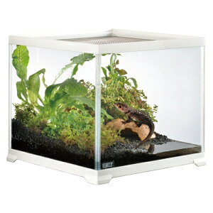 【全国送料無料】GEX エキゾテラ レプテリアホワイト300CUBE High