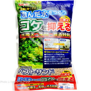 ySzGEX xXgTh RP}鍻 3L