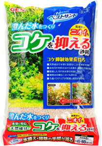 ySzGEX xXgTh RP}鍻 6L